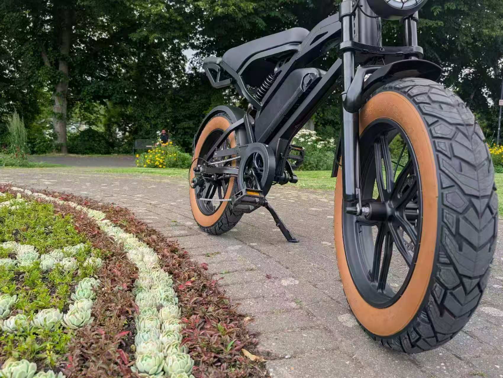 V20