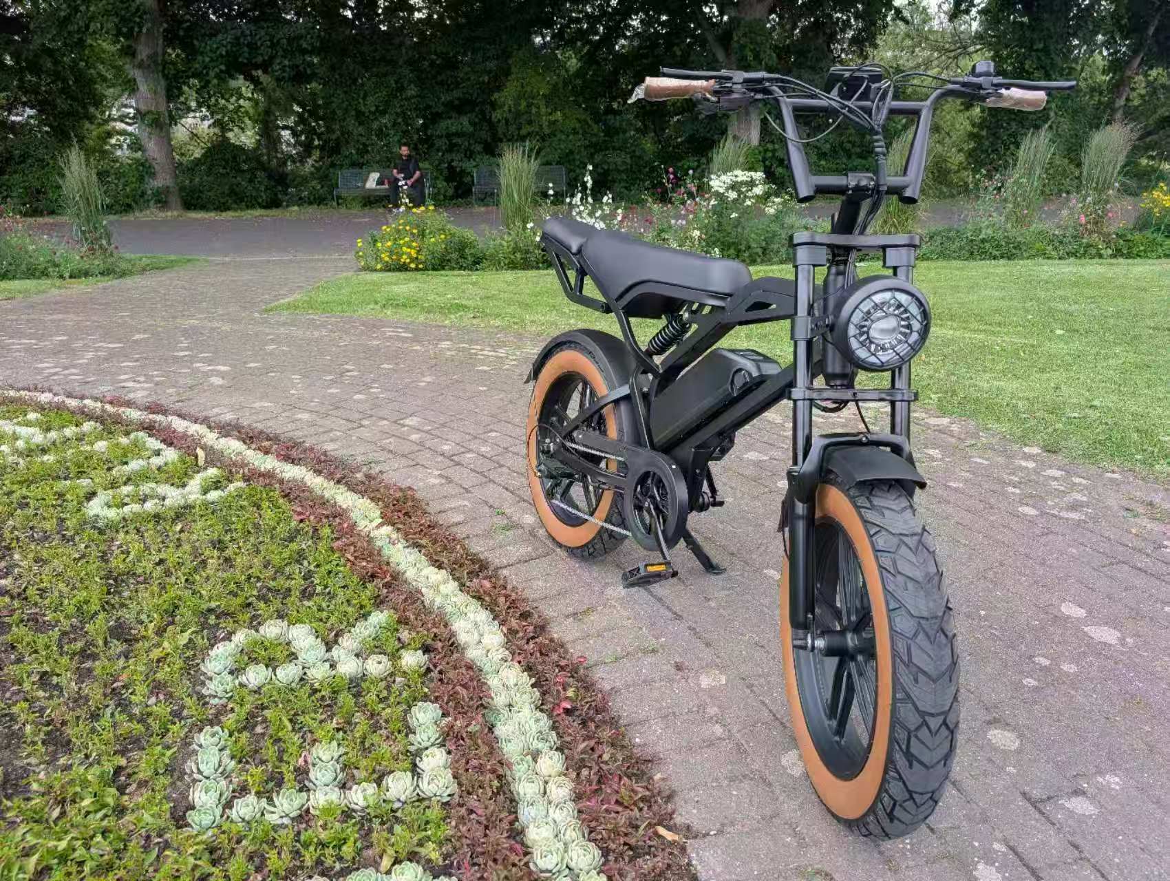 V20