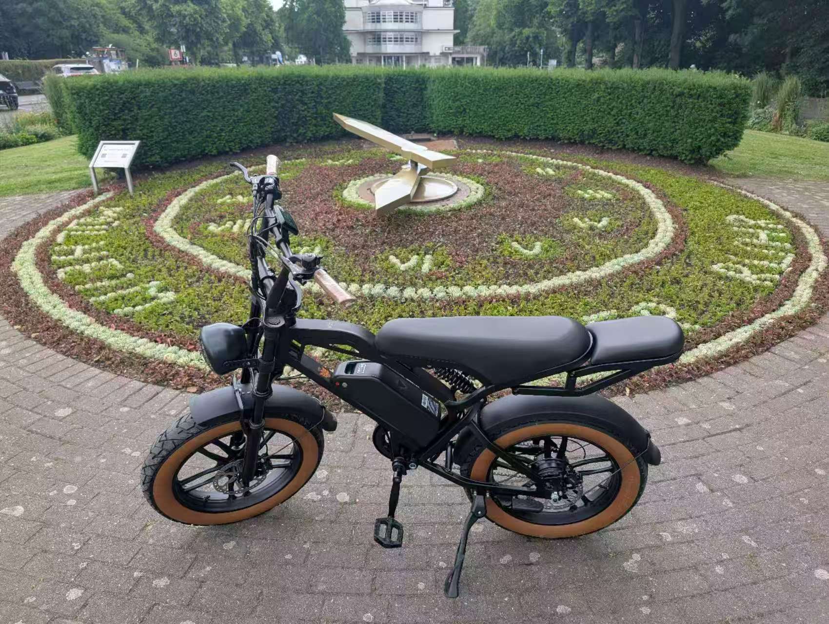 V20